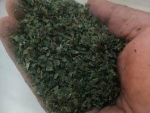bogdi kratom - crushed leaf