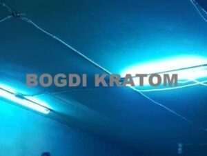 kratom vendors -sterilization