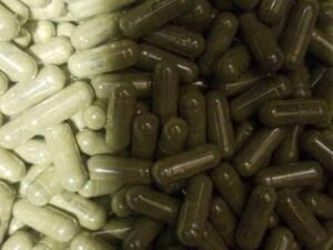 bogdi kratom -kratom capsule