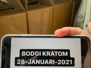 kratom supplier pontianak