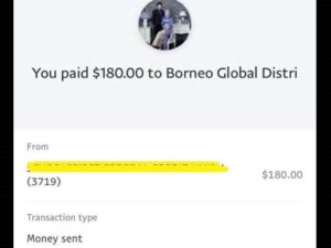 payment paypal